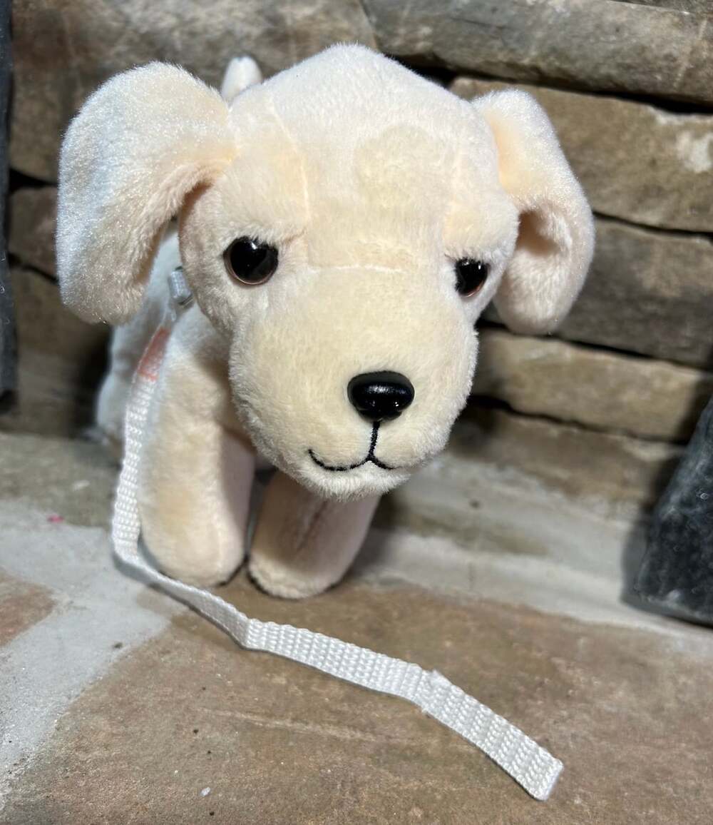 Our Generation Light Beige Ears Up Bendable Legs Lace Leash Puppy Dog Stuffed